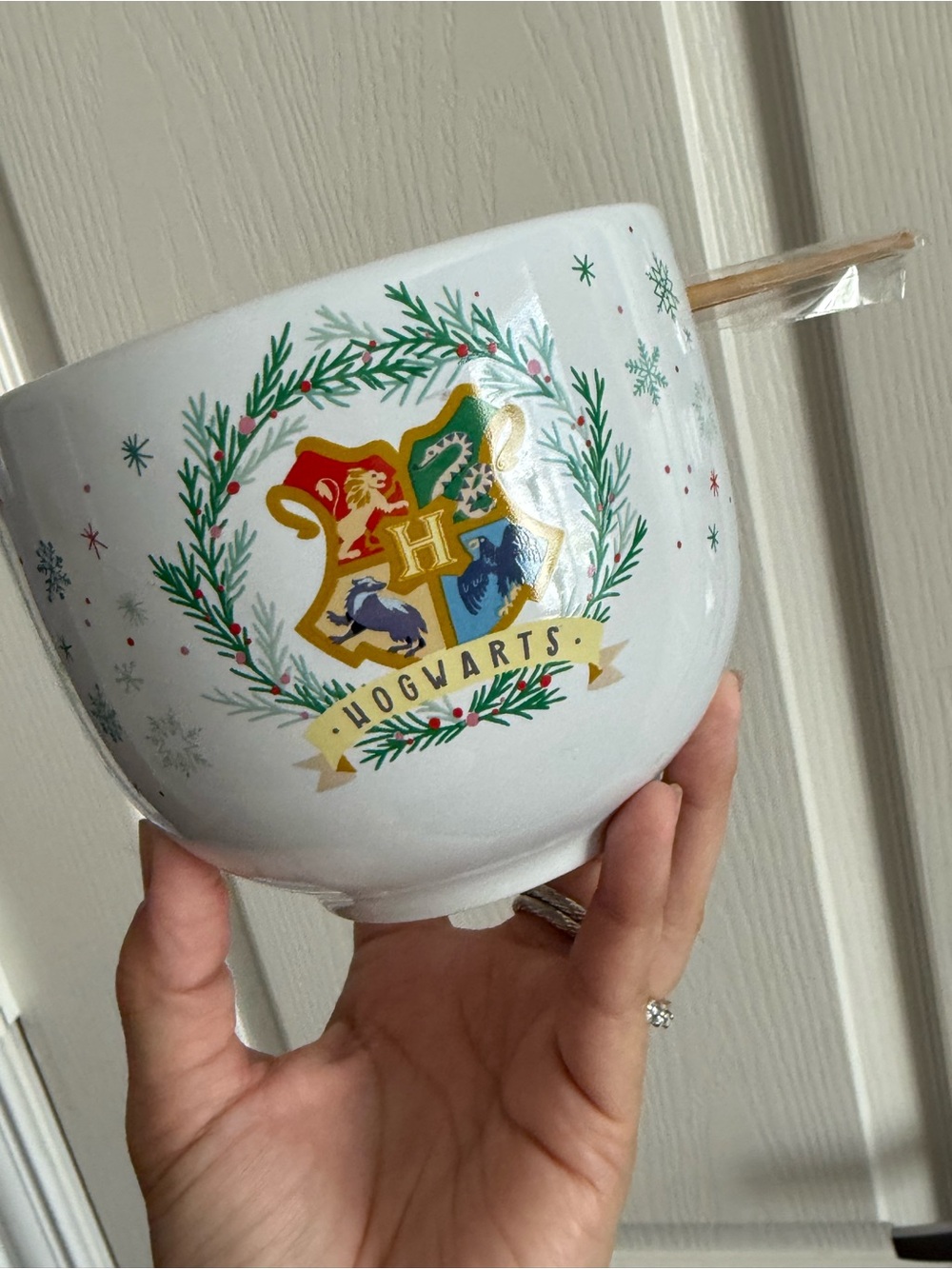 Harry Potter Hogwarts christmas holiday themed bat costume bowl